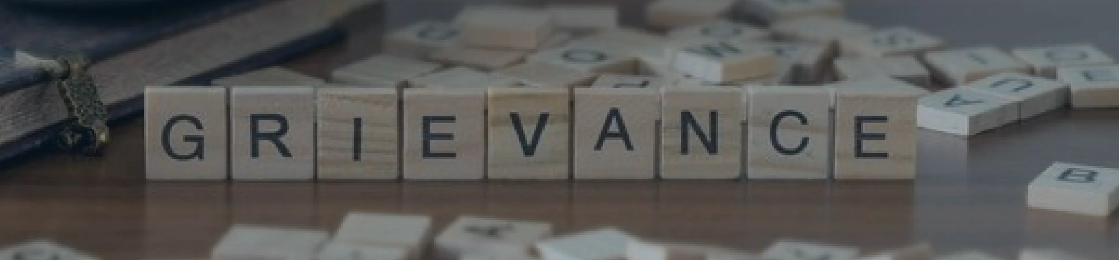 GrivanceImg